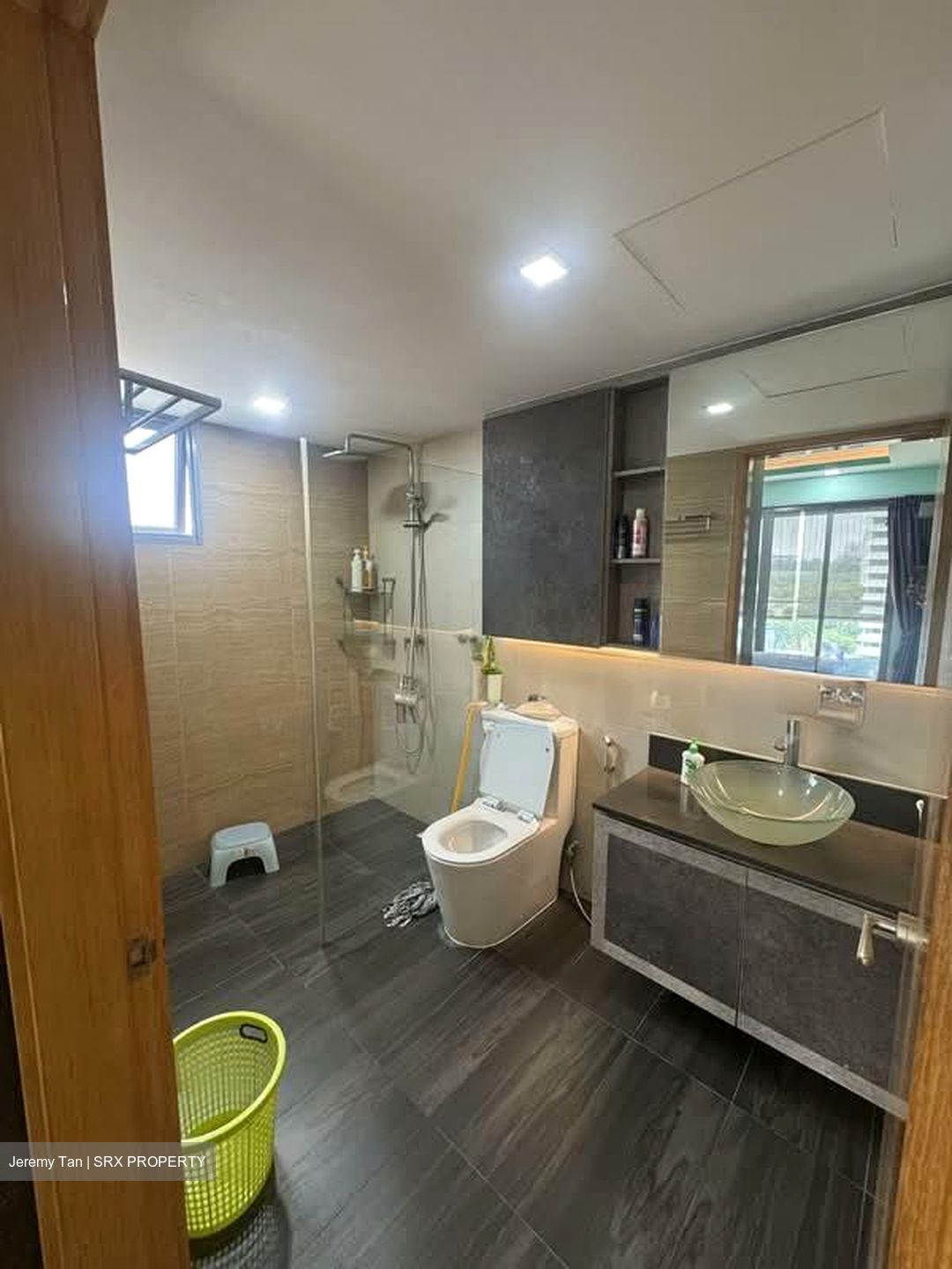 A Treasure Trove (D19), Condominium #575877111